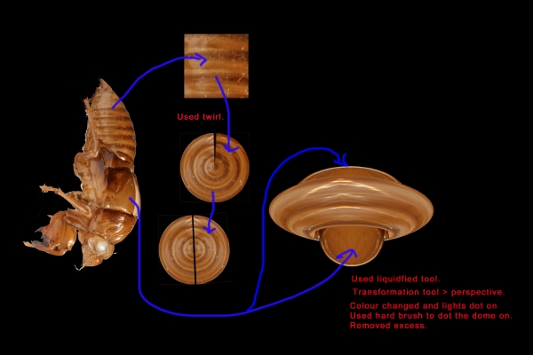 Creation of Fugitive: Step 4